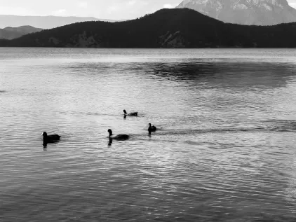 Kaszinó Midas Mobilalkalmazás